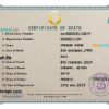editable template, Guinea death certificate PSD template, completely editable