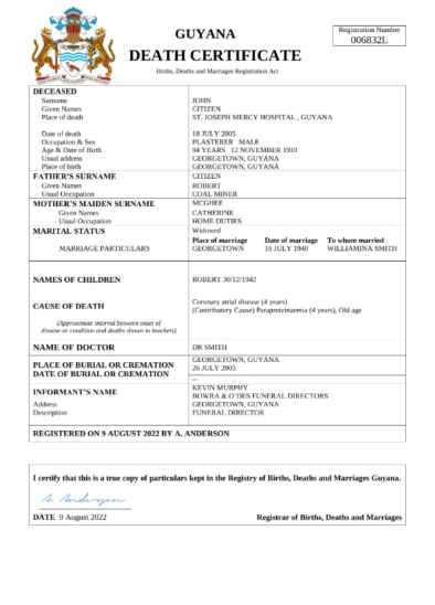 editable template, Guyana death certificate Word and PDF template, completely editable
