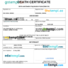 editable template, Hawaii death certificate Word and PDF template, completely editable