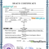 editable template, Hong-Kong vital record death certificate PSD template, completely editable