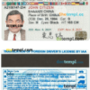 International driver's license PSD template
