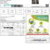 editable template, India INDRAPRASTHA GAS LIMITED utility bill template in Word and PDF format