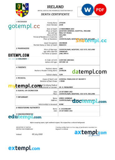 editable template, Ireland vital record death certificate Word and PDF template