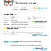 editable template, Jamaica vital record death certificate Word and PDF template