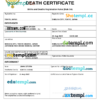 editable template, Japan death certificate Word and PDF template, completely editable