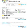 editable template, Maldives vital record death certificate Word and PDF template