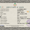 editable template, Maldives vital record death certificate PSD template, completely editable