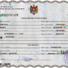 editable template, Moldova vital record death certificate PSD template, completely editable