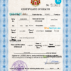 editable template, Monaco vital record death certificate PSD template