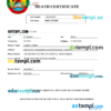 editable template, Mozambique vital record death certificate Word and PDF template
