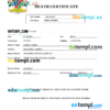 editable template, Namibia vital record death certificate Word and PDF template