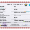 editable template, Nauru vital record death certificate PSD template, fully editable