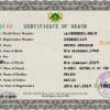 editable template, Niger death certificate PSD template, completely editable