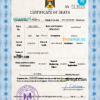 editable template, Palestine vital record death certificate PSD template, completely editable