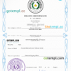 editable template, Paraguay vital record death certificate PSD template