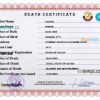 editable template, Qatar vital record death certificate PSD template