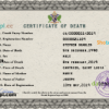 editable template, Saint Lucia vital record death certificate PSD template