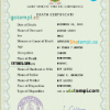 editable template, Saint Vincent and the Grenadines death certificate PSD template, completely editable