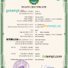 editable template, Salvador vital record death certificate PSD template, completely editable