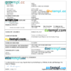 editable template, Sao Tome and Principe vital record death certificate Word and PDF template