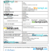 editable template, Sudan vital record death certificate Word and PDF template