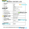 editable template, South Sudan vital record death certificate Word and PDF template