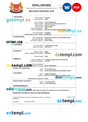 Singapore vital record death certificate Word and PDF template