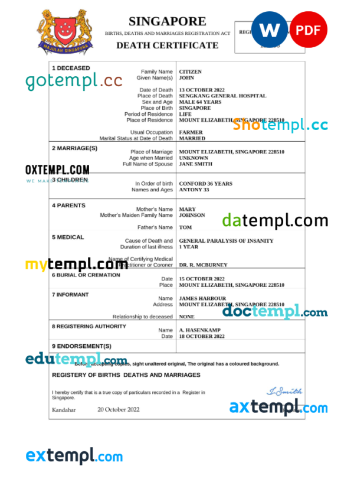 editable template, Singapore vital record death certificate Word and PDF template