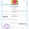 editable template, Singapore death certificate PSD template, completely editable