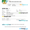 editable template, Solomon Islands vital record death certificate Word and PDF template