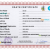 editable template, Solomon vital record death certificate PSD template, fully editable
