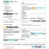 editable template, Somalia vital record death certificate Word and PDF template
