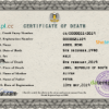 editable template, South Sudan death certificate PSD template, completely editable