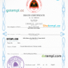 editable template, Timor-Leste vital record death certificate PSD template
