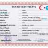 editable template, Turkey death certificate PSD template, completely editable