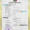 editable template, Zambia vital record death certificate PSD template