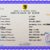 editable template, # bold universal birth certificate PSD template, completely editable