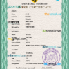 editable template, # broadcast variety universal birth certificate PSD template, completely editable