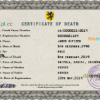 editable template, # deathprism death universal certificate PSD template, completely editable