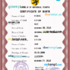 editable template, # disclosure universal birth certificate PSD template, fully editable