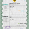 editable template, # flight death universal certificate PSD template, completely editable