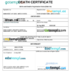 editable template, USA vital record death certificate Word and PDF template