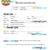 editable template, UAE vital record death certificate Word and PDF template