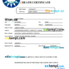 editable template, Taiwan death certificate Word and PDF template, completely editable