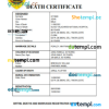 editable template, Timor-Leste vital record death certificate Word and PDF template