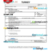 editable template, Turkey vital record death certificate Word and PDF template