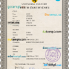 editable template, # limitless split universal birth certificate PSD template, fully editable