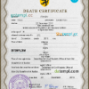 editable template, # pulse verse vital record death certificate universal PSD template