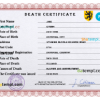 editable template, # rave vital record death certificate universal PSD template