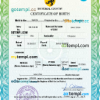 editable template, # united assembly universal birth certificate PSD template, completely editable